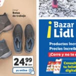 Catálogo LIDL bazar del 5 al 11 de enero