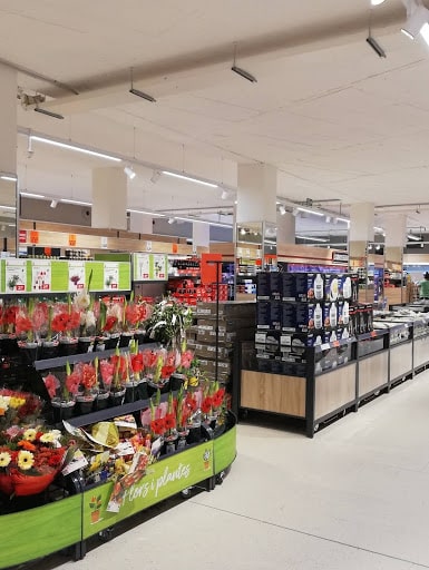 supermercado-Lidl-en-Molins de Rei
